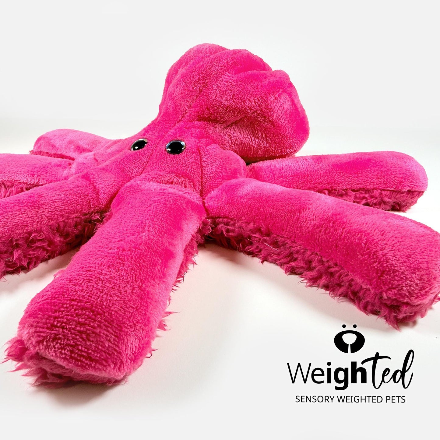 3kg Octopus 'Rogue'