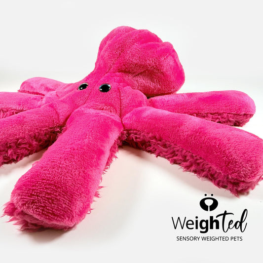 3kg Octopus 'Rogue'