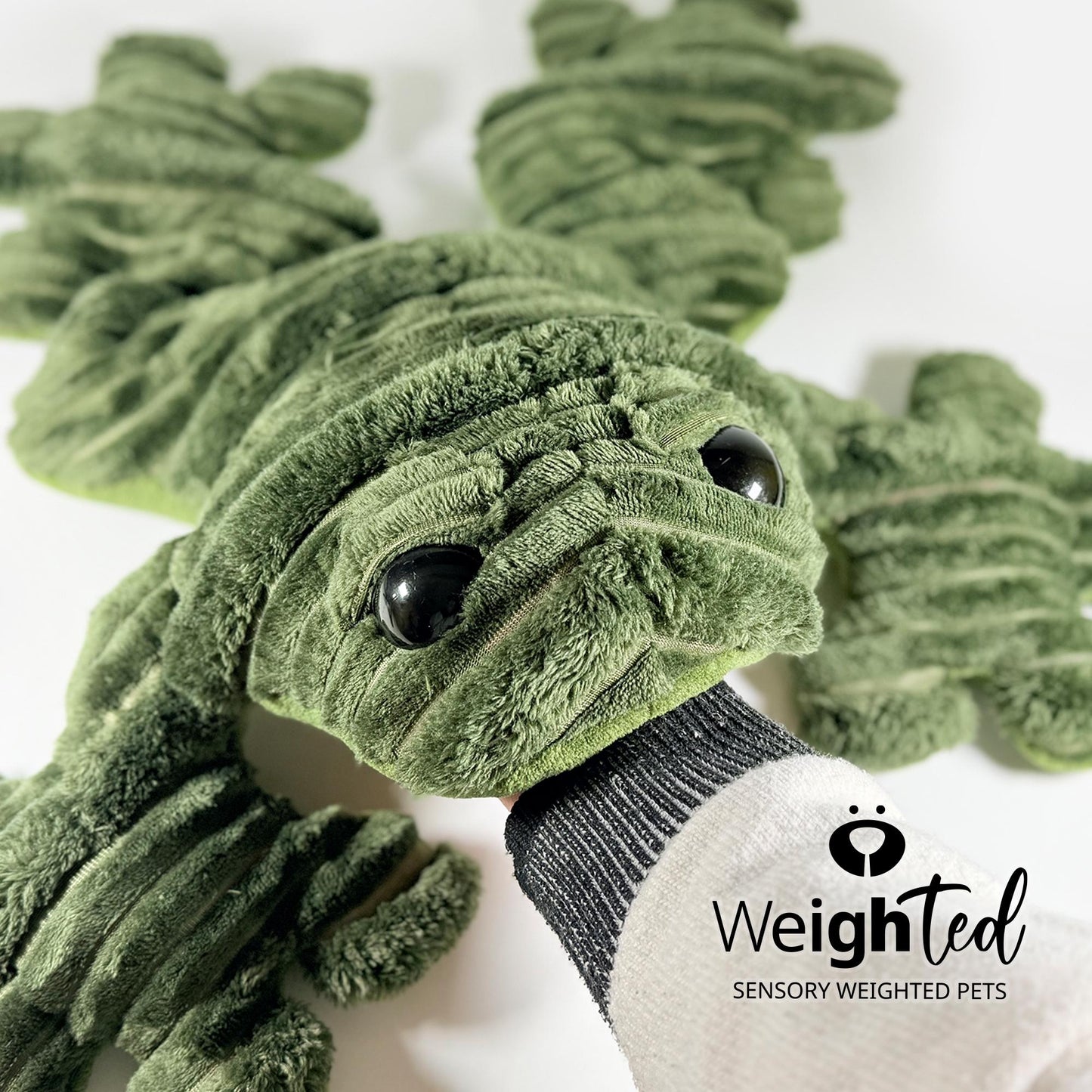 5.5kg Giant Frog 'Hopkin'