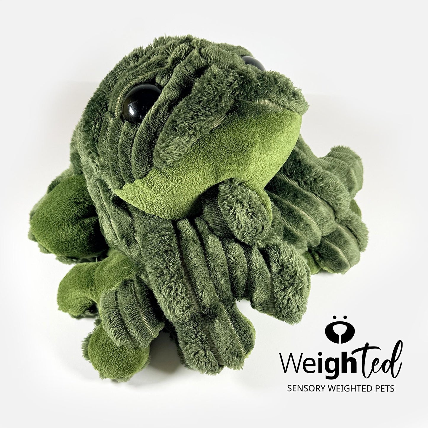 5.5kg Giant Frog 'Hopkin'