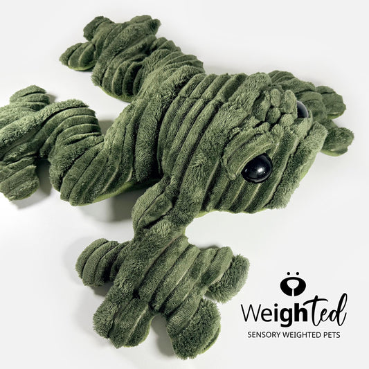 5.5kg Giant Frog 'Hopkin'