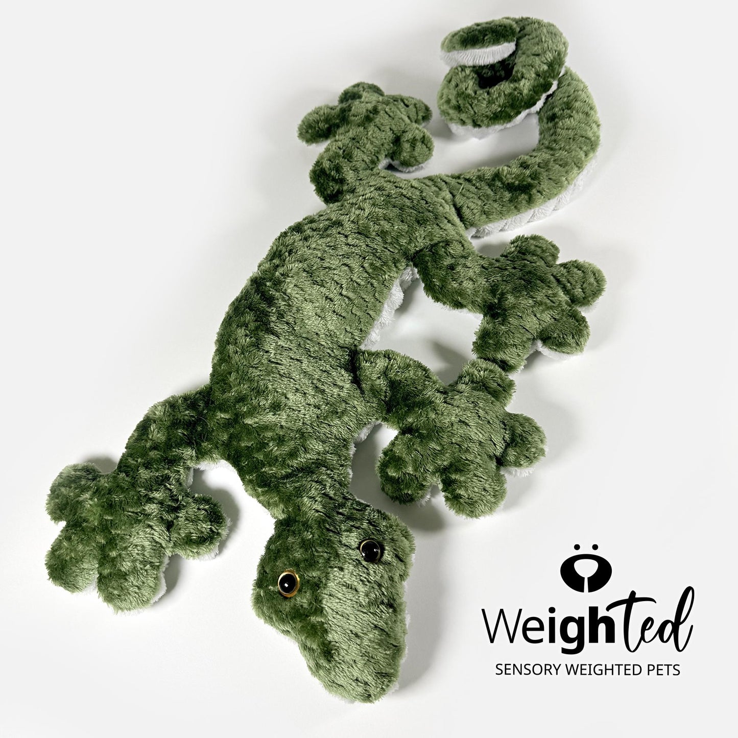 2.8kg Lizard 'Kiwi'