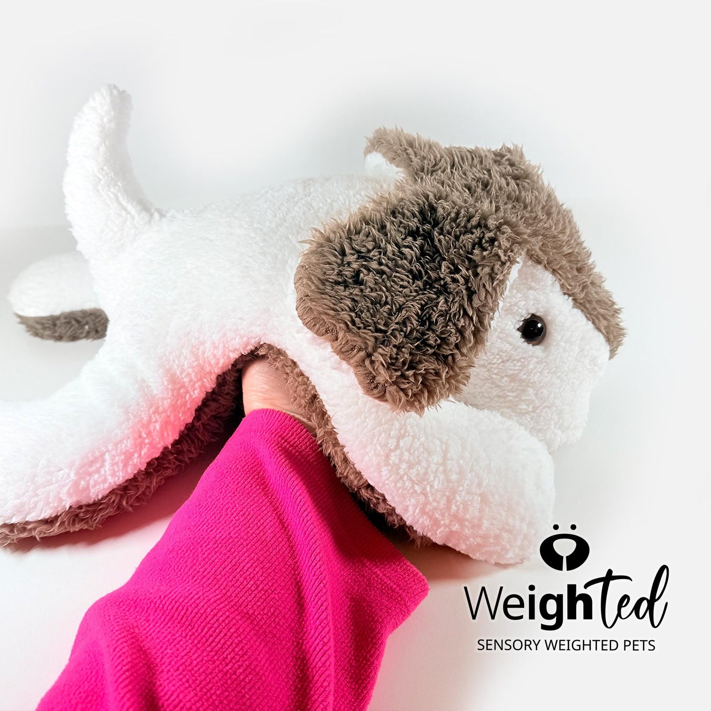 4.5kg Giant Puppy Dog 'Chester'