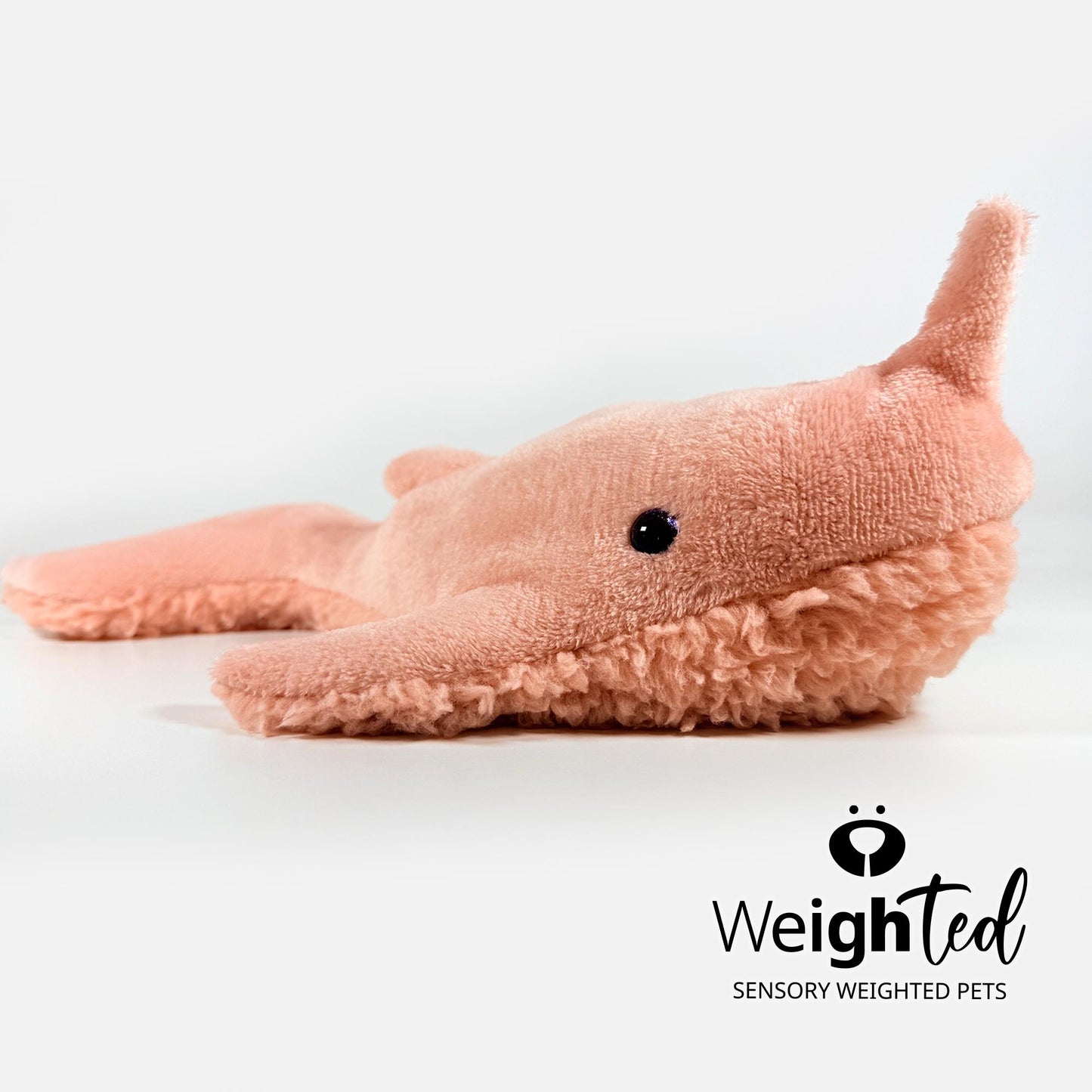1.8kg Narwhal 'Gracie'