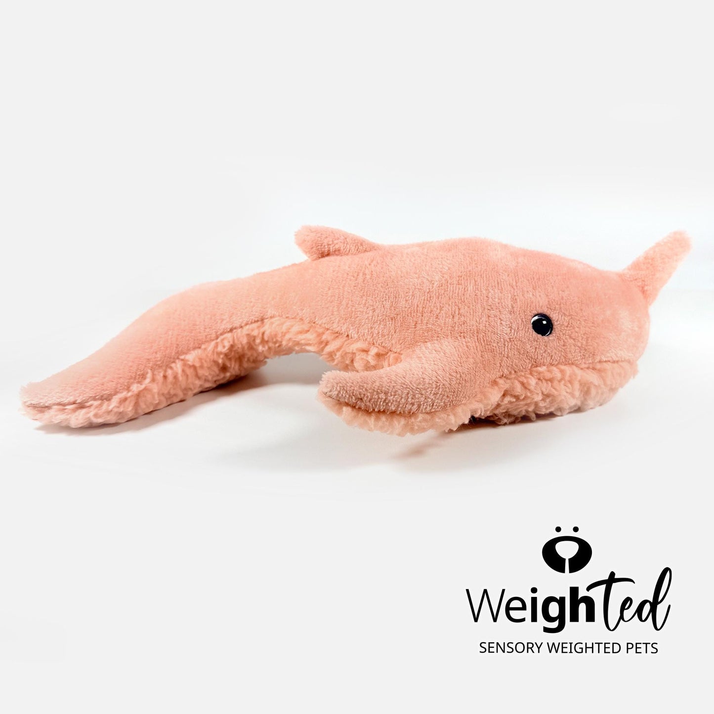 1.8kg Narwhal 'Gracie'