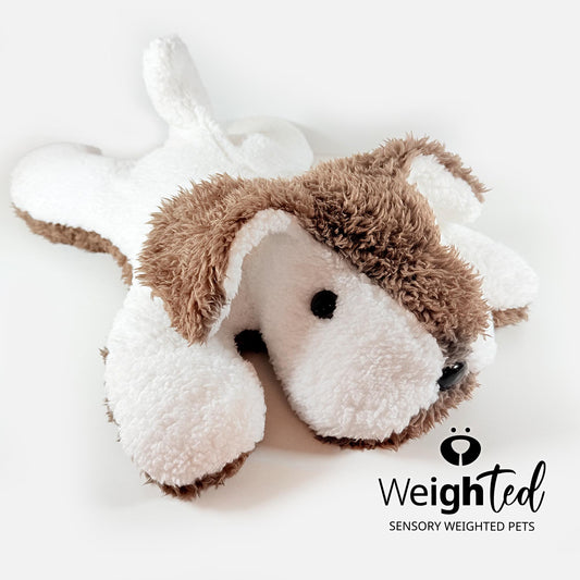 4.5kg Giant Puppy Dog 'Chester'