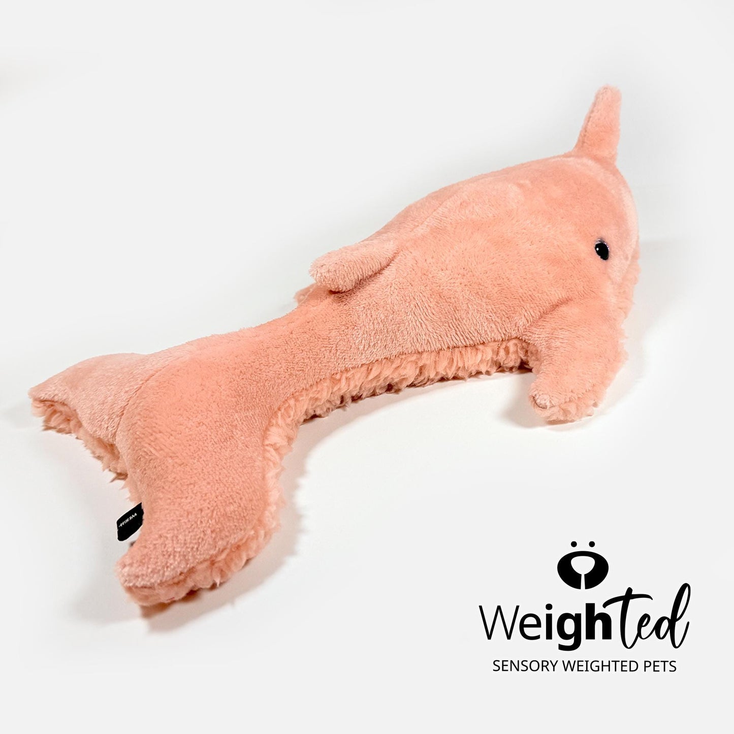 1.8kg Narwhal 'Gracie'