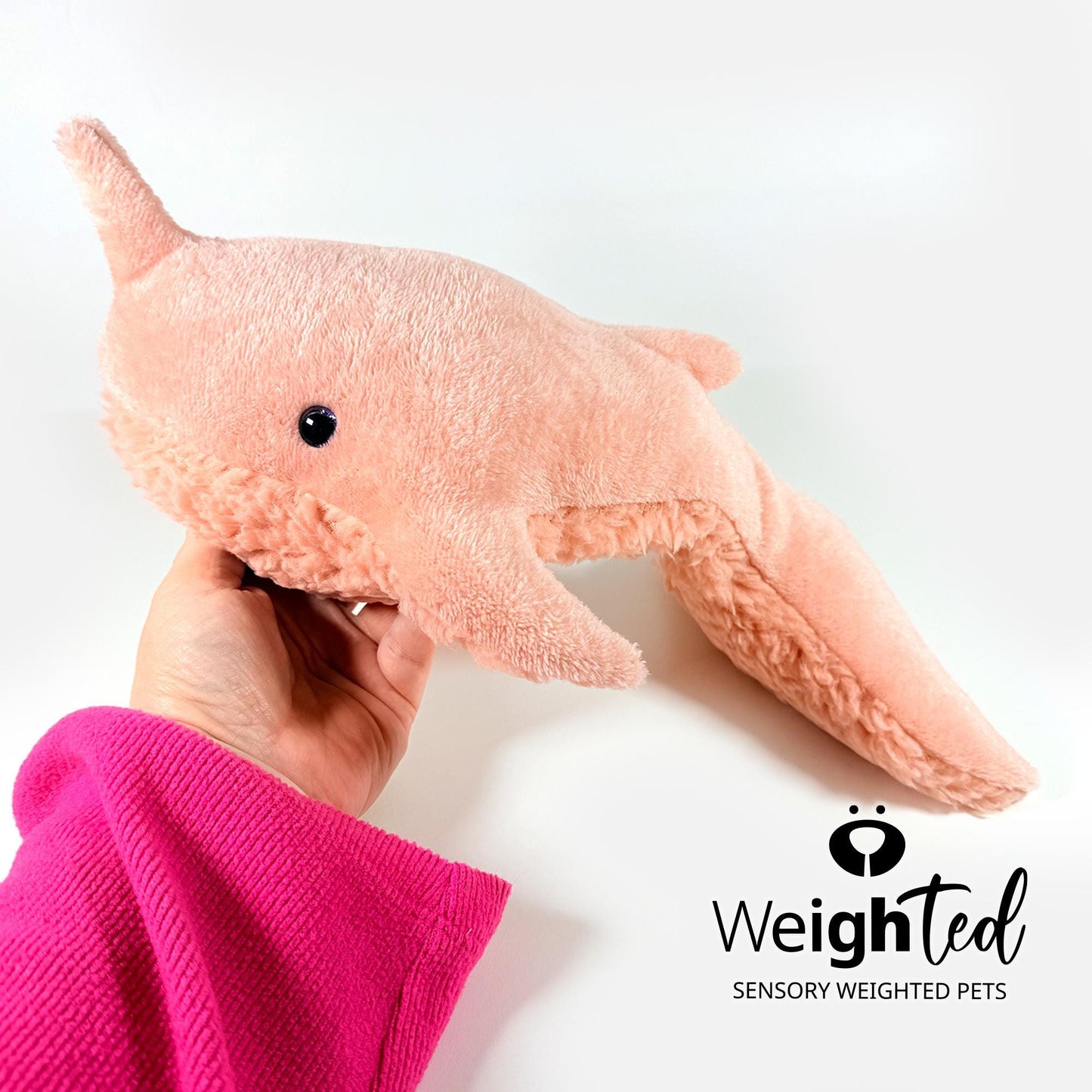 1.8kg Narwhal 'Gracie'