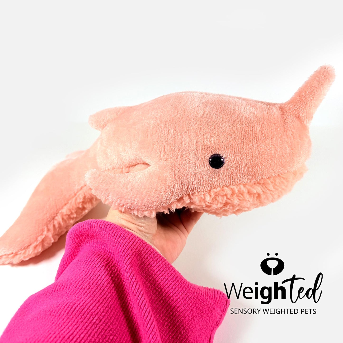 1.8kg Narwhal 'Gracie'