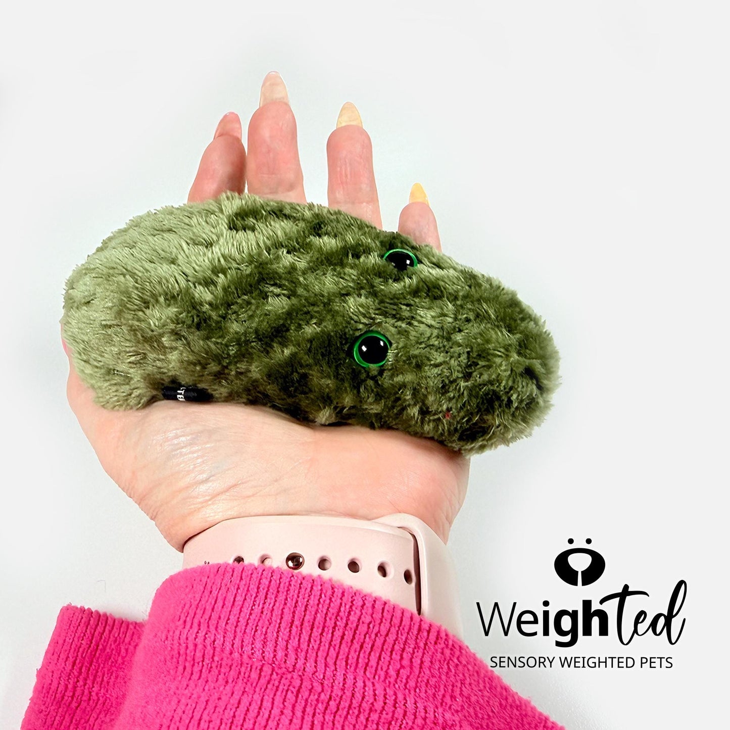 700g Emotional Support Pickle 'Dilbert'