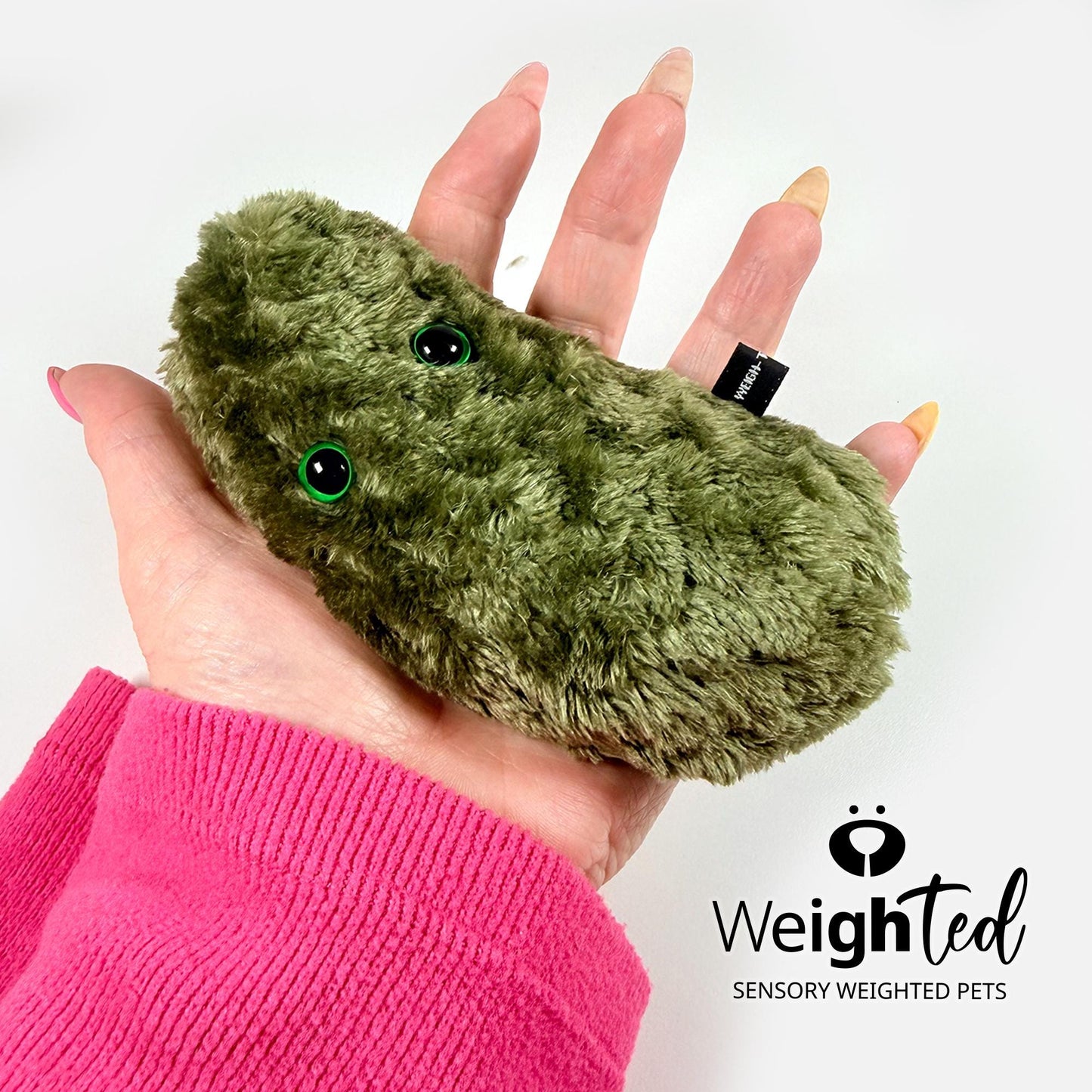 700g Emotional Support Pickle 'Dilbert'