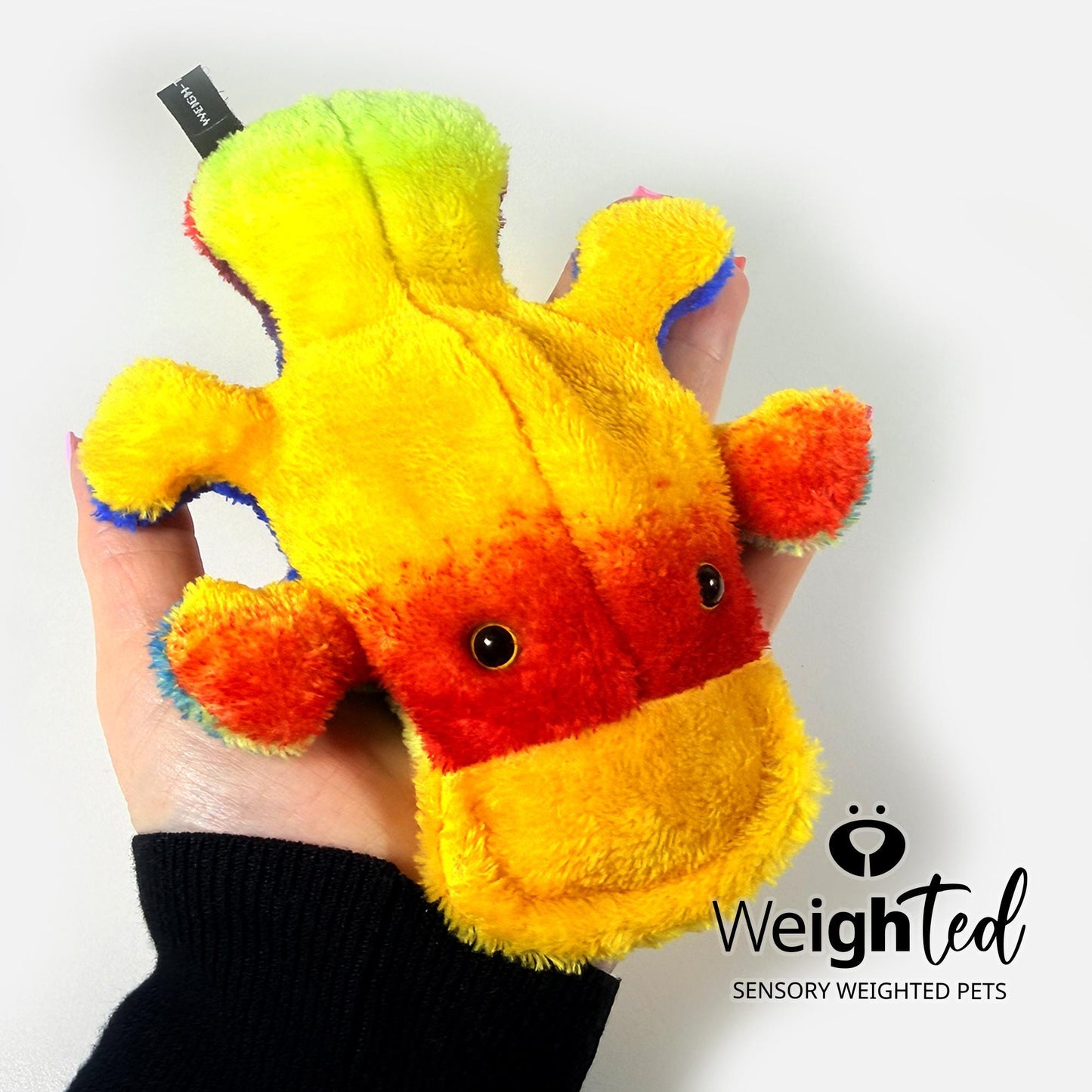 650g Pocket Platypus 'Casey'