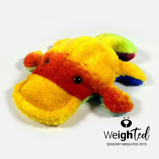 650g Pocket Platypus 'Casey'