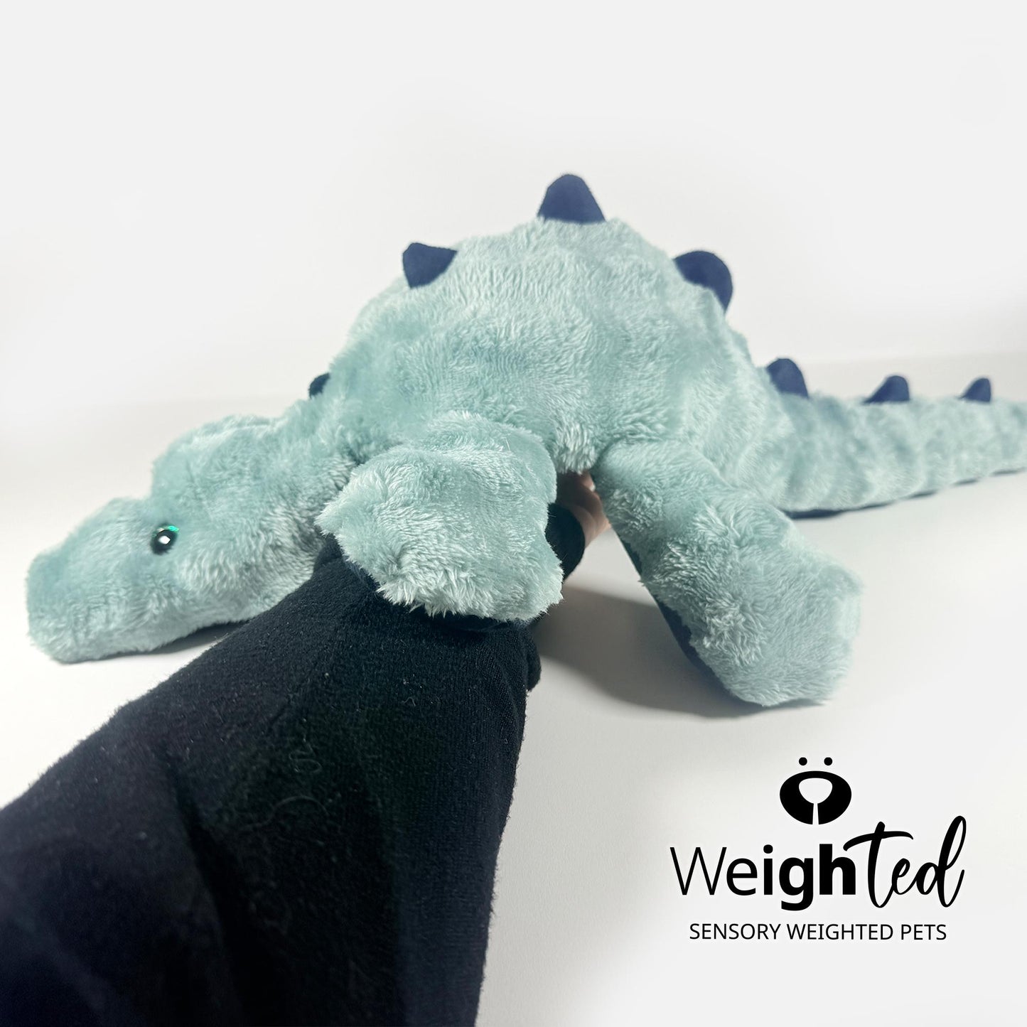 4kg Dinosaur 'Orna'