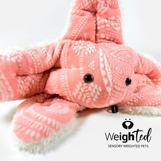 3kg Starfish 'Bay'
