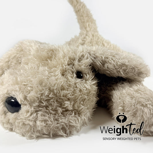 6.8kg Giant Puppy Dog 'Fudge'