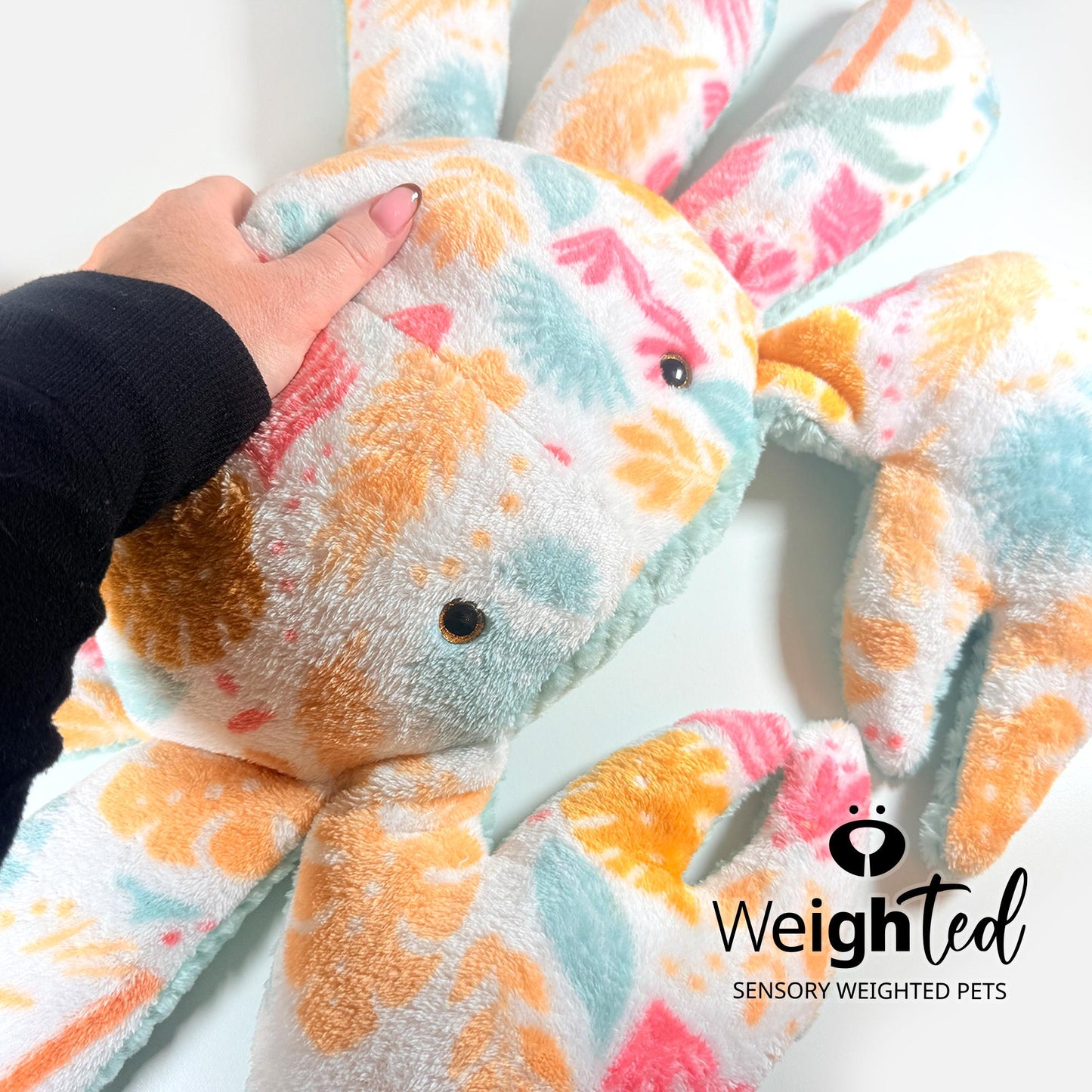 4kg Giant Crab 'Claude'