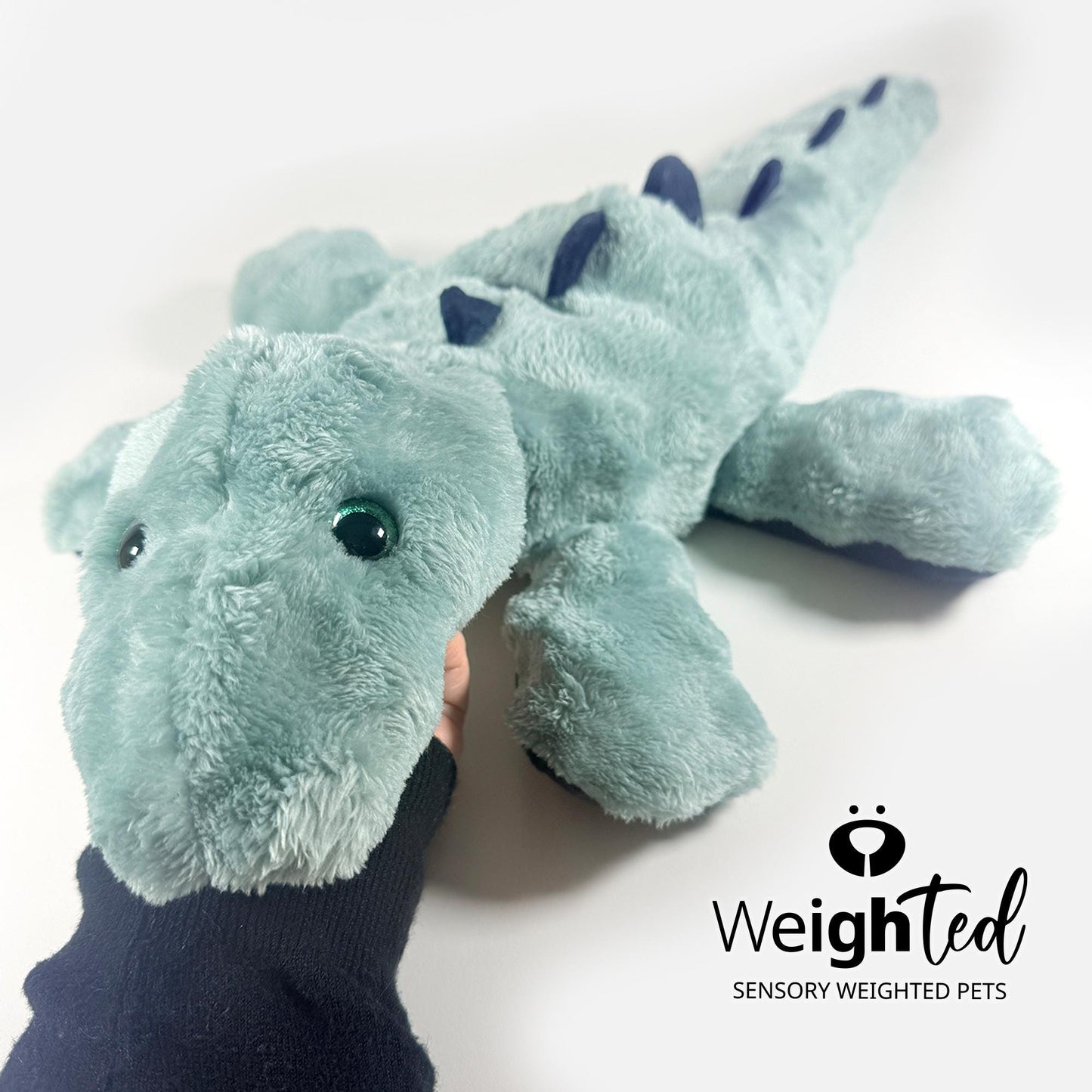 4kg Dinosaur 'Orna'