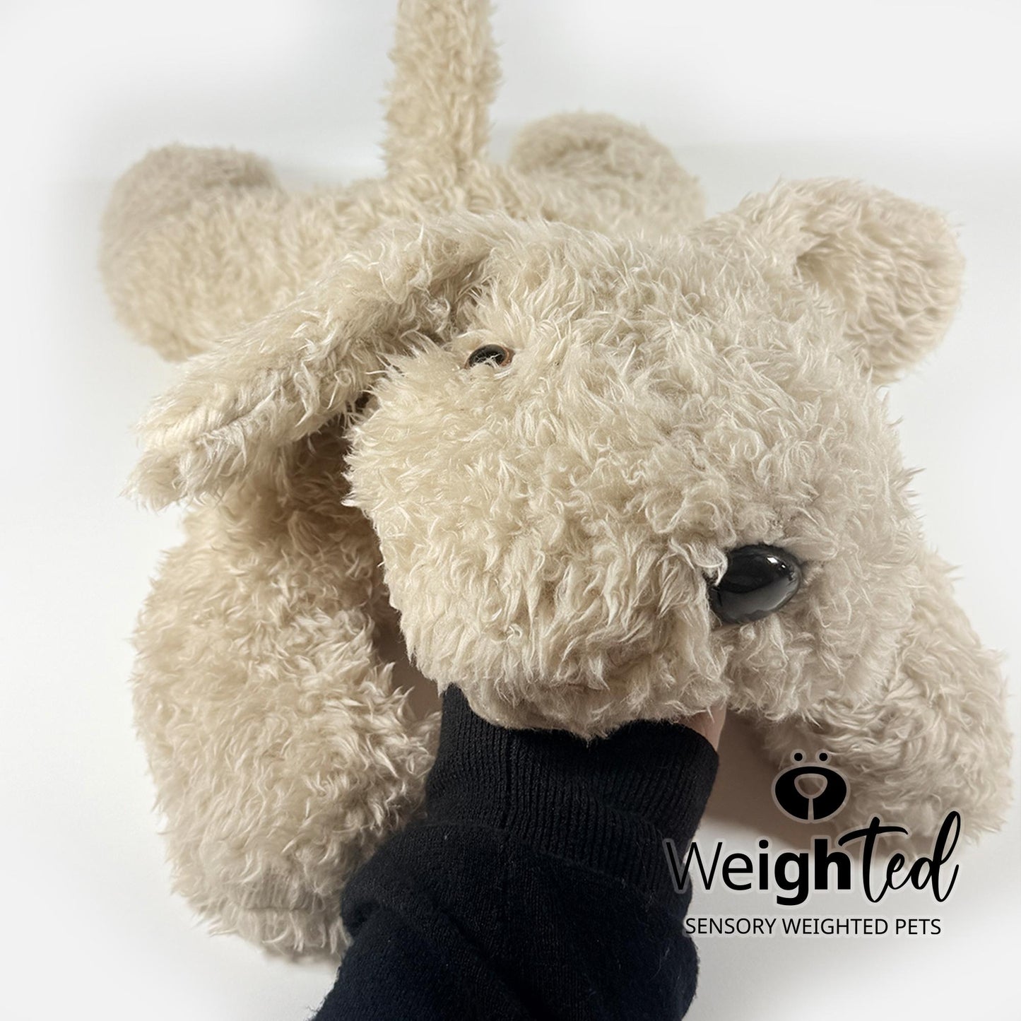 6.8kg Giant Puppy Dog 'Fudge'