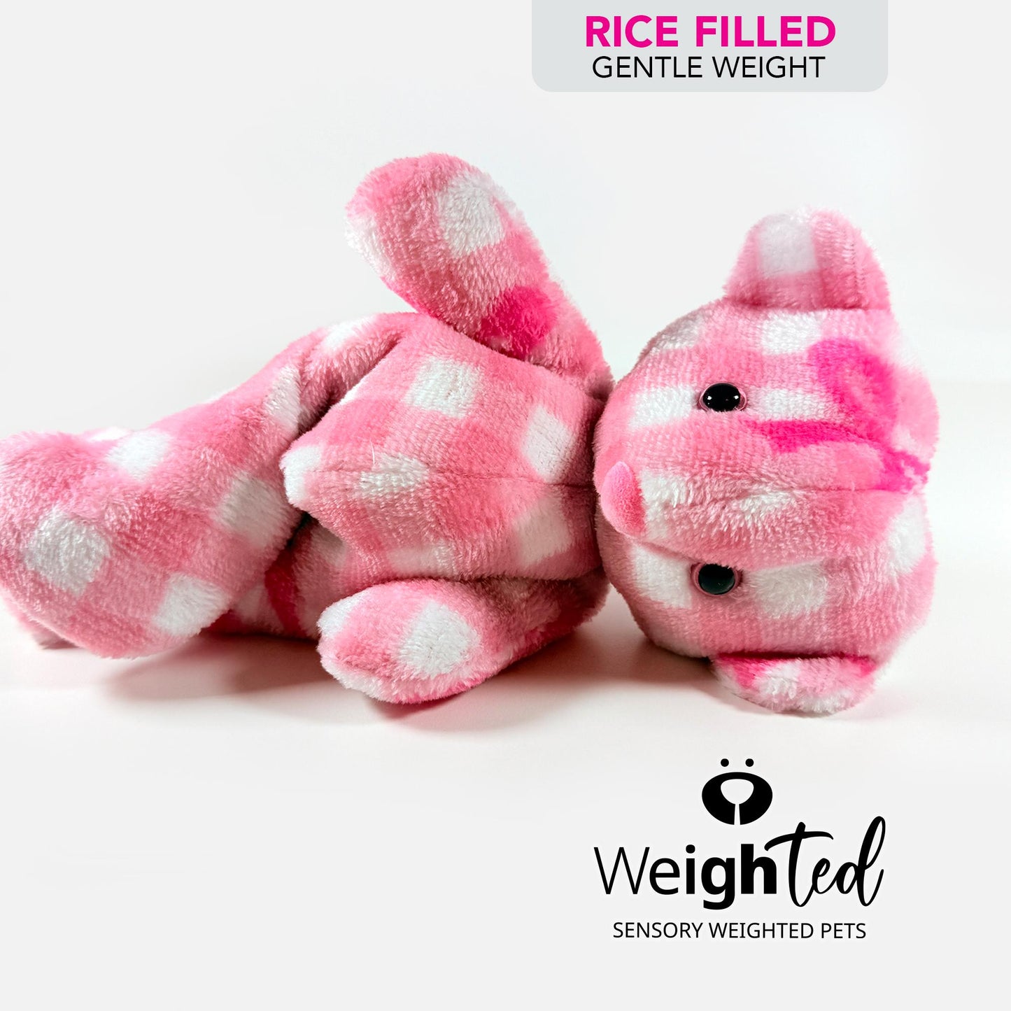 700g Teddy Bear 'Grace'
