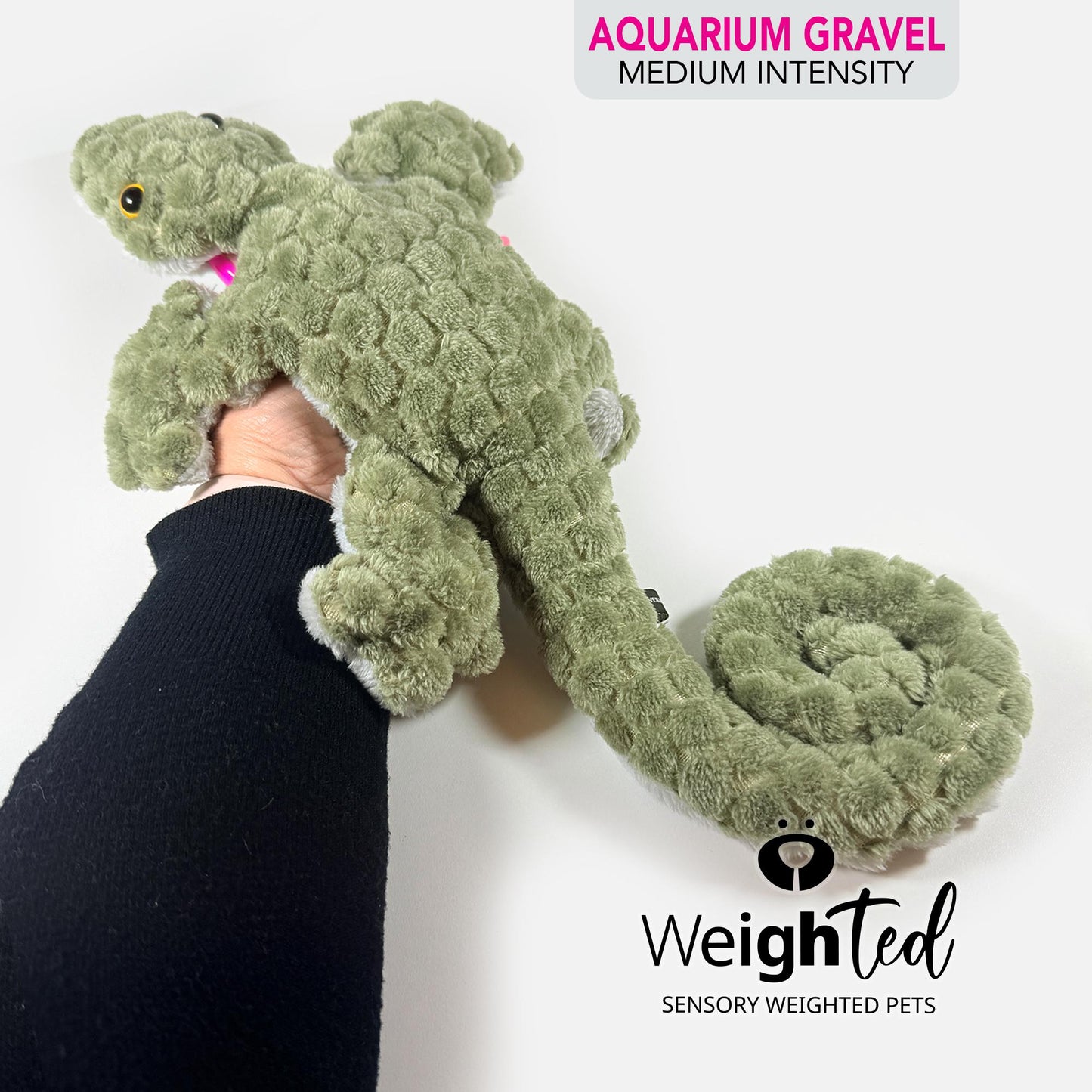 1kg Lizard 'Gary'