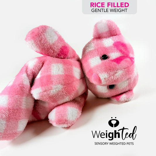 700g Teddy Bear 'Grace'