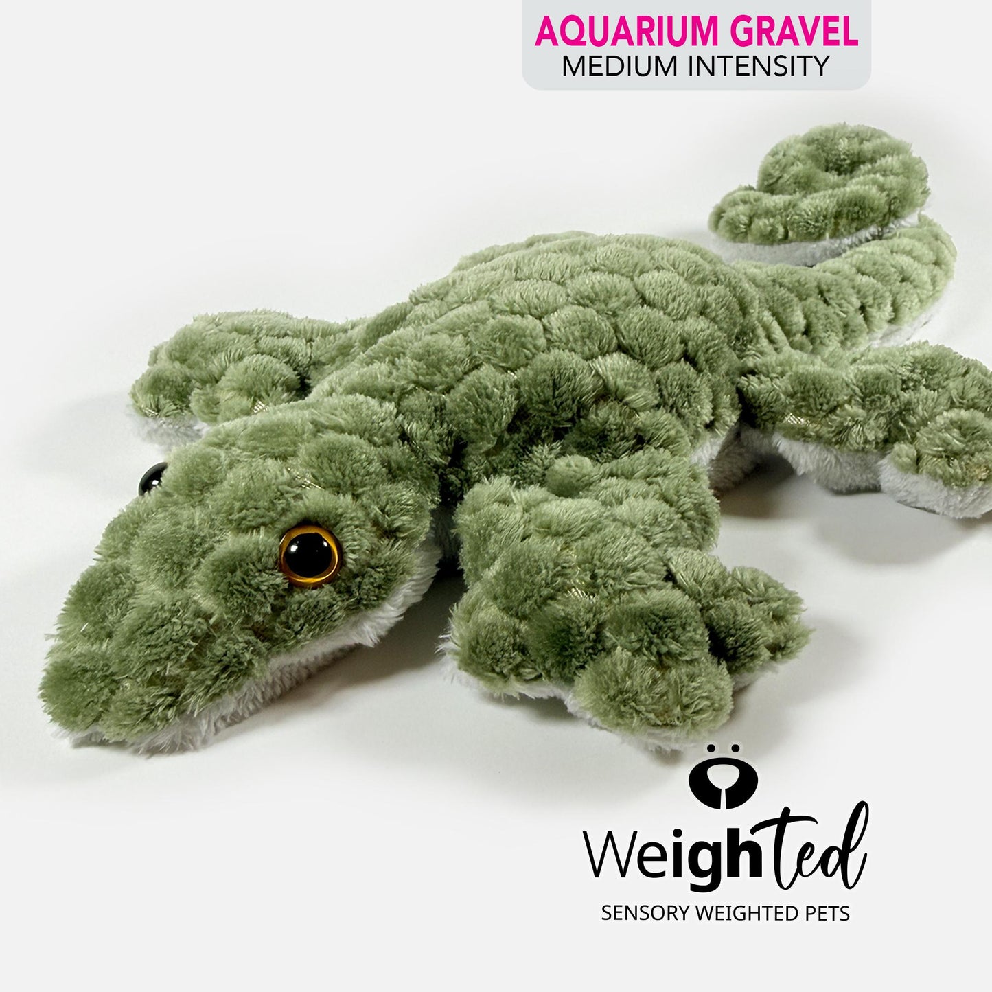 1kg Lizard 'Gary'