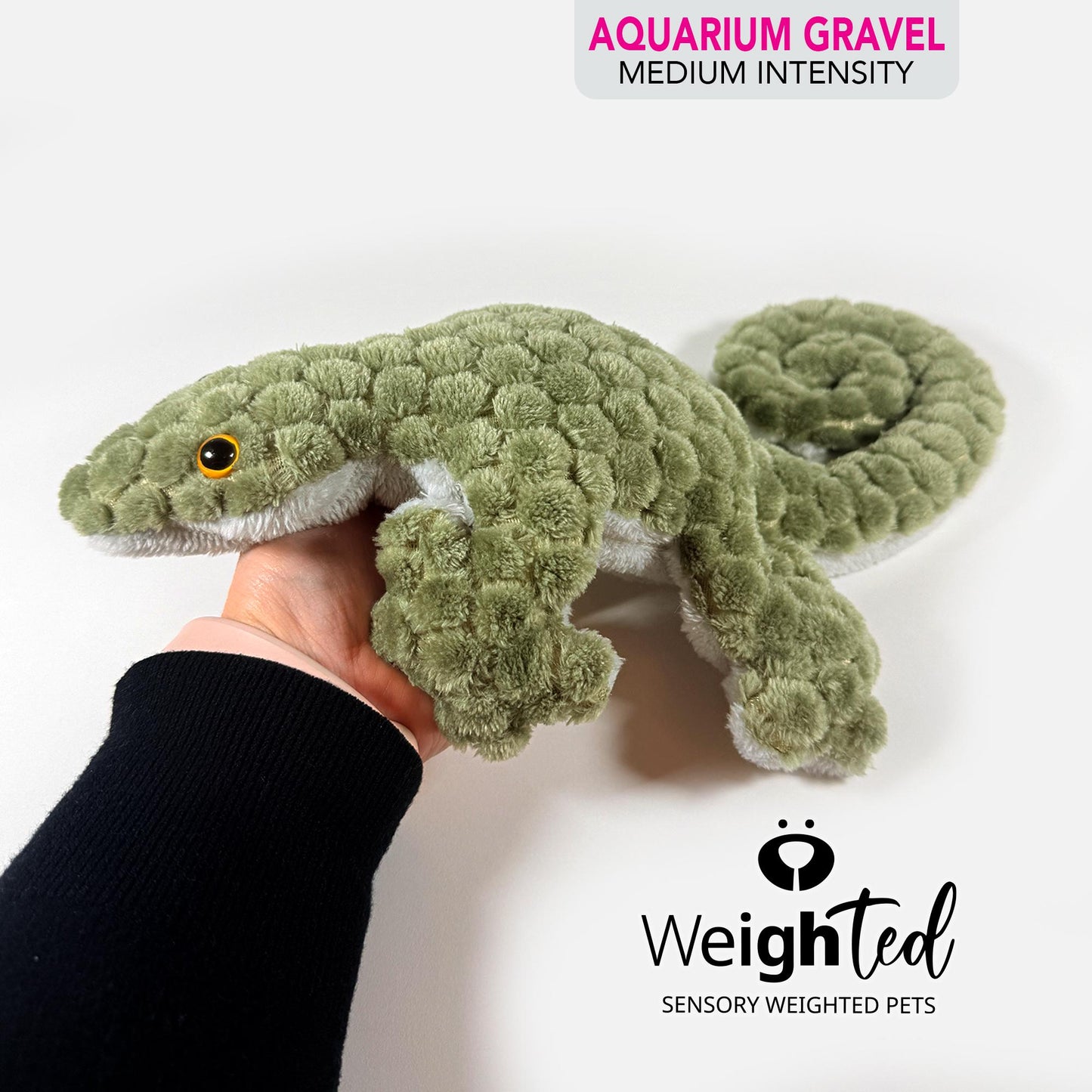 1kg Lizard 'Gary'