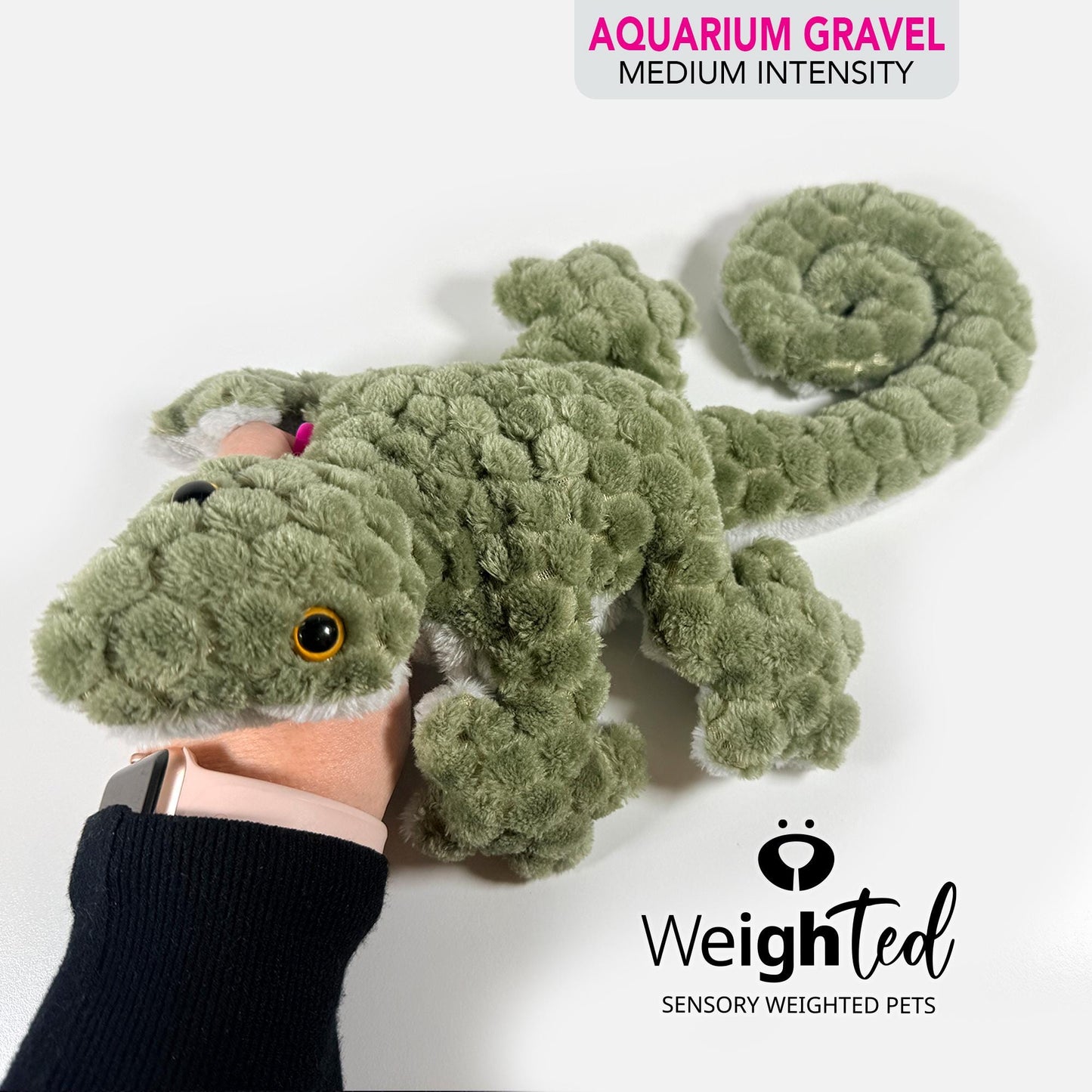 1kg Lizard 'Gary'