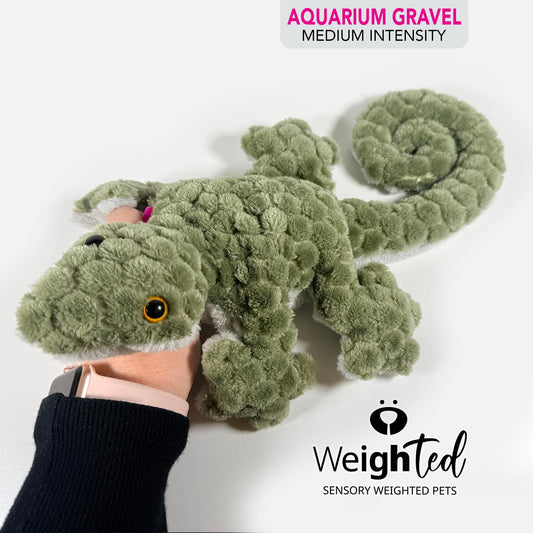 1kg Lizard 'Gary'
